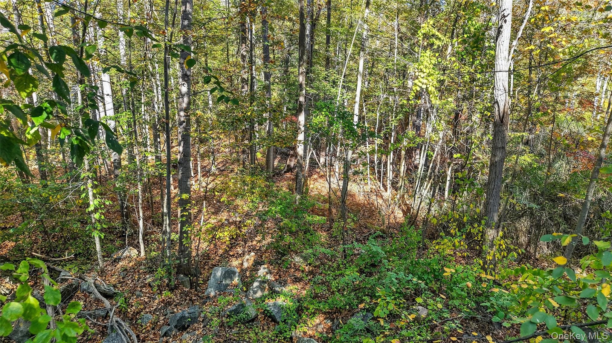 #16 photo, 50 Winston Lane, Garrison , NY 10524