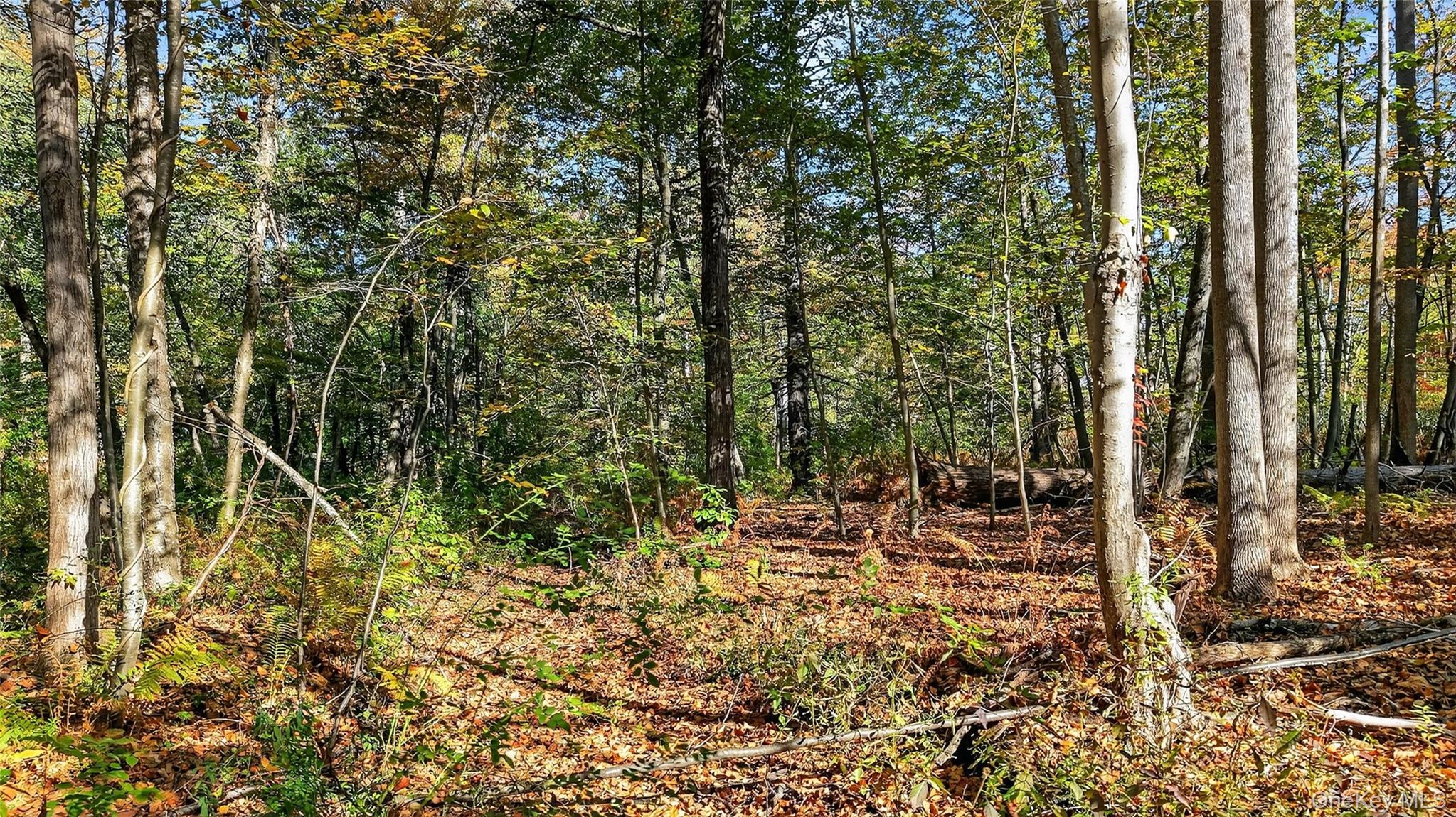 #17 photo, 50 Winston Lane, Garrison , NY 10524