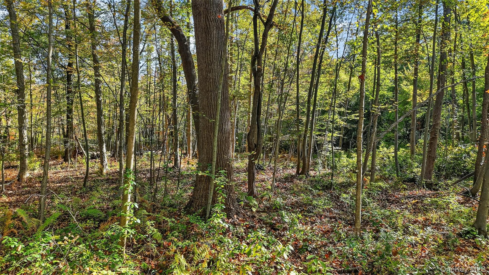 #18 photo, 50 Winston Lane, Garrison , NY 10524