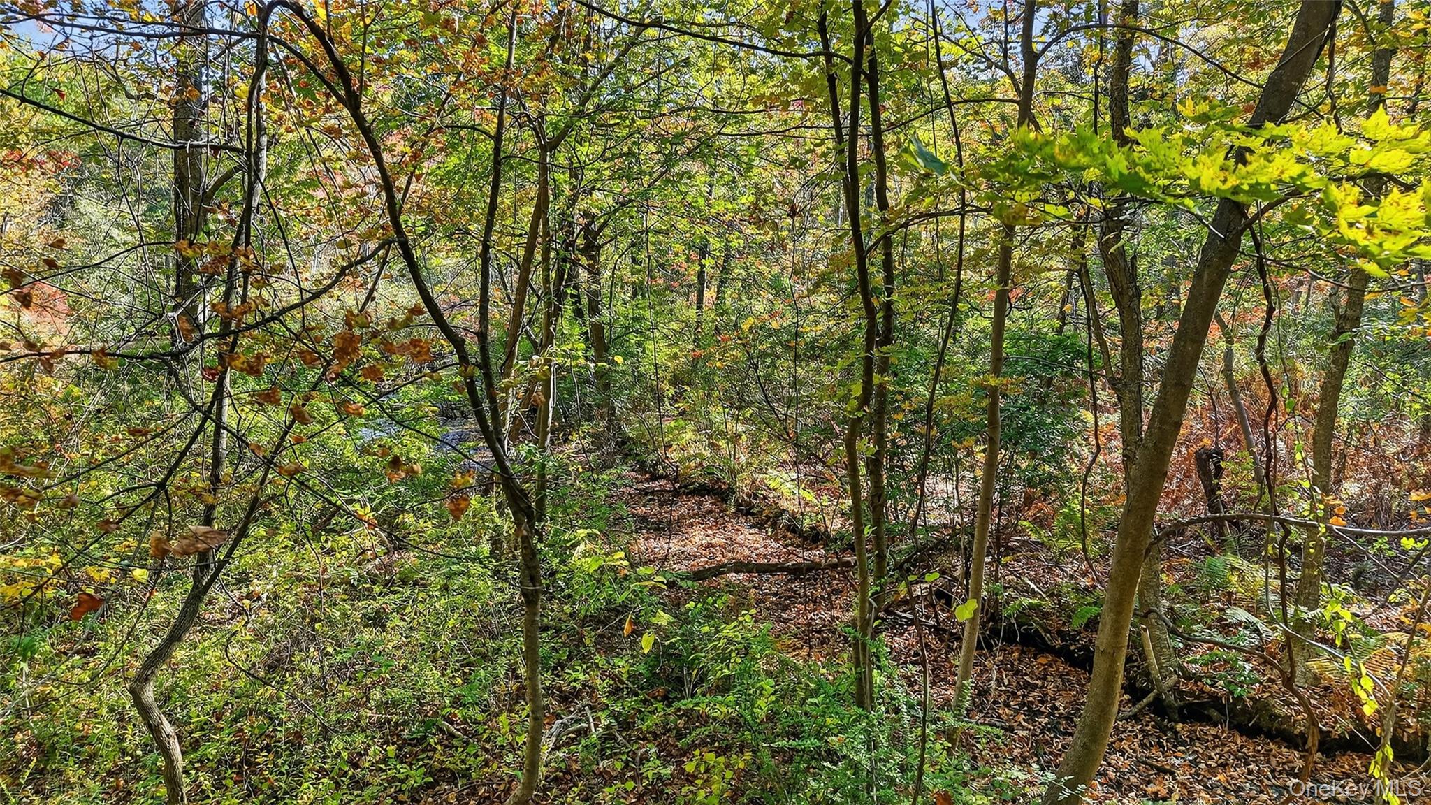 #19 photo, 50 Winston Lane, Garrison , NY 10524