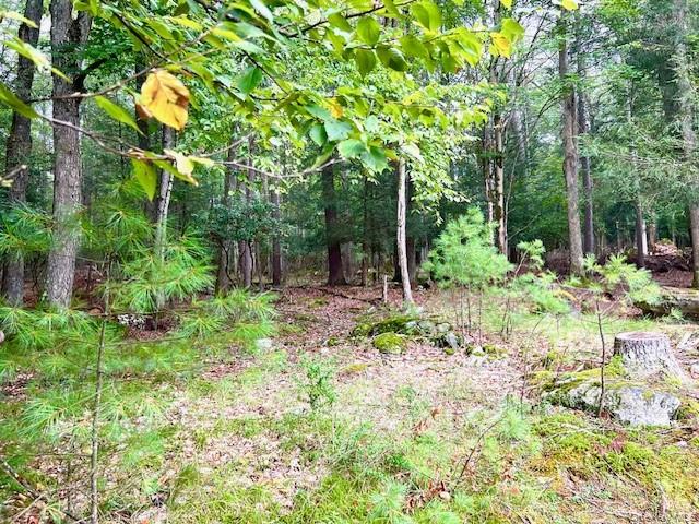 #16 photo, 250 County Road 21, Barryville , NY 12719