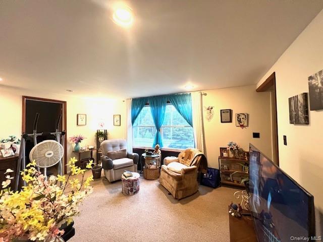 #3 photo, 250 County Road 21, Barryville , NY 12719