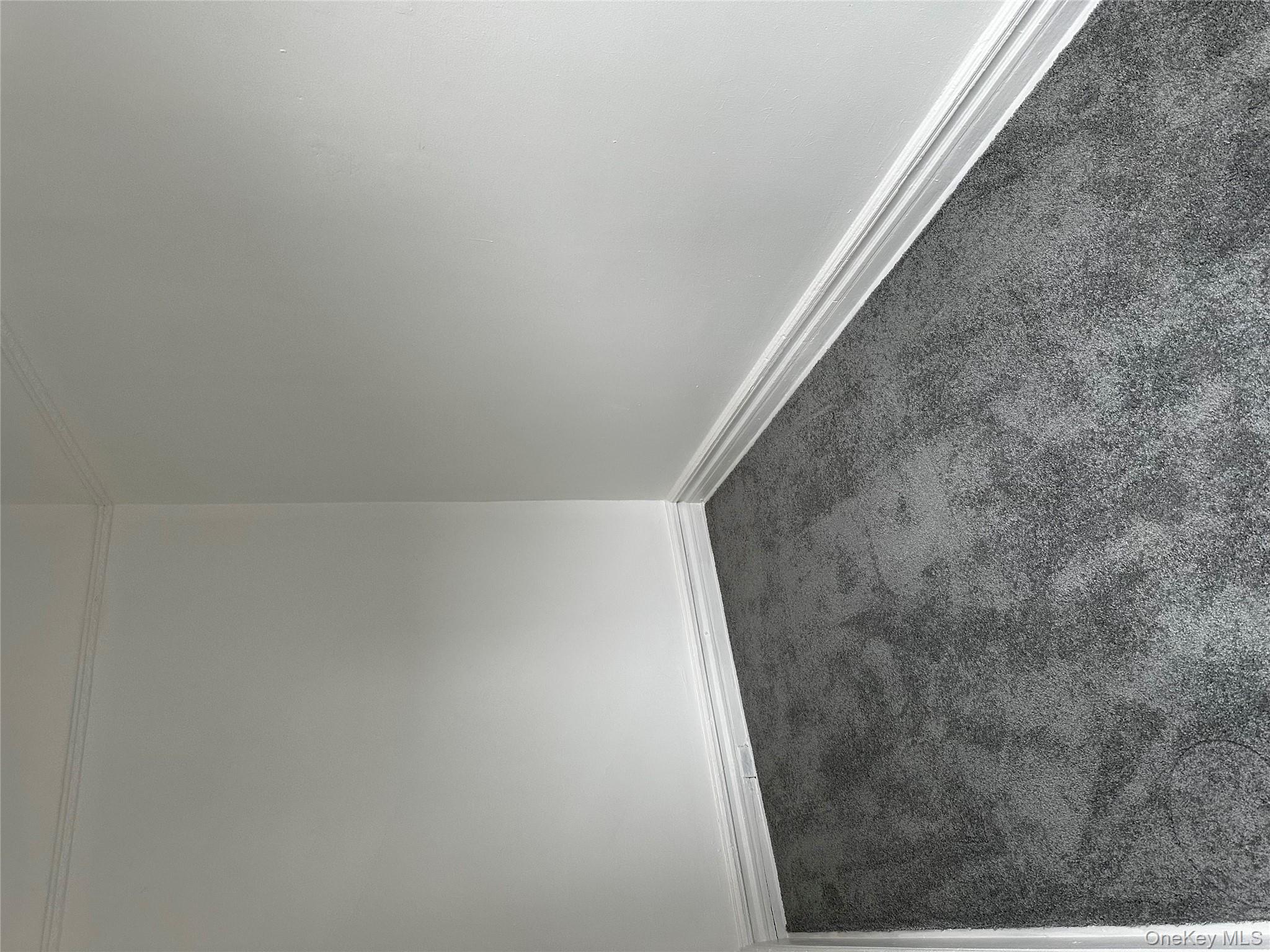 #8 photo, 43 Linden Street, Brooklyn , NY 11221