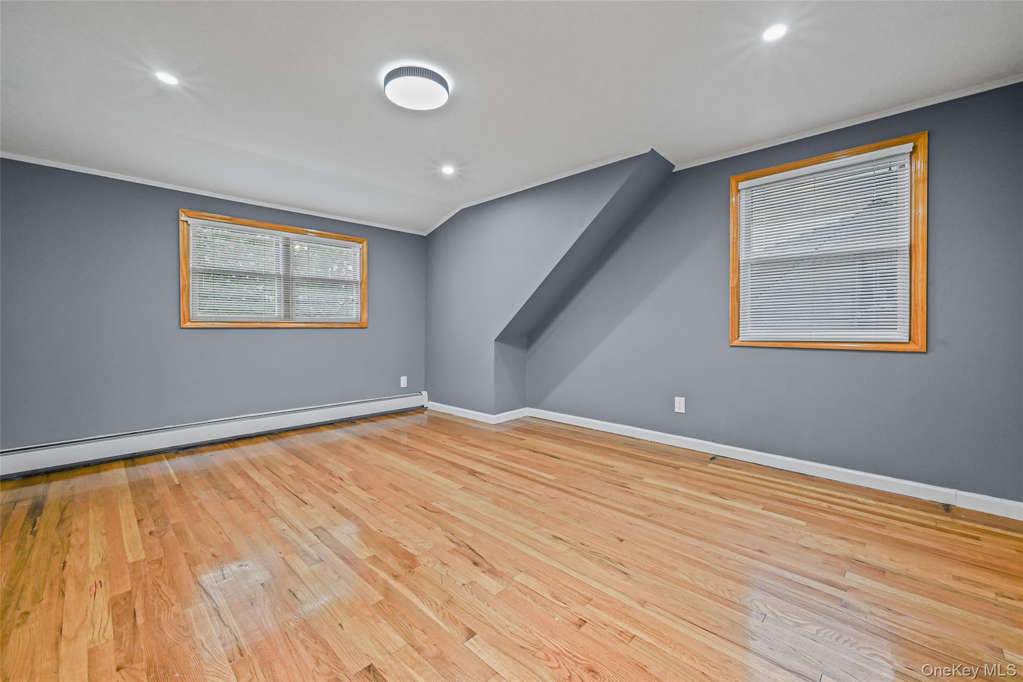 #10 photo, 48 Circle Dr, Westbury , NY 11590