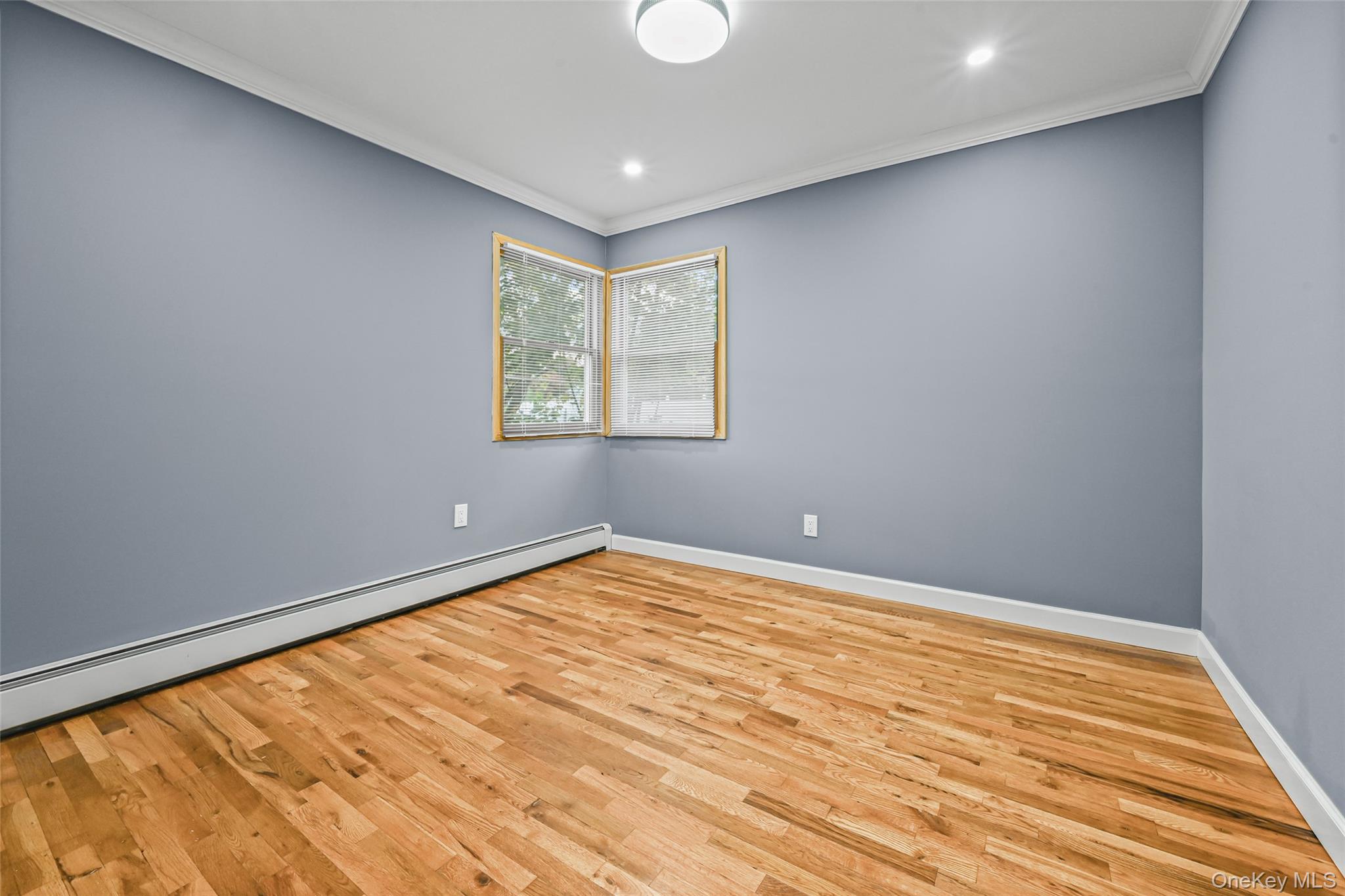 #8 photo, 48 Circle Dr, Westbury , NY 11590