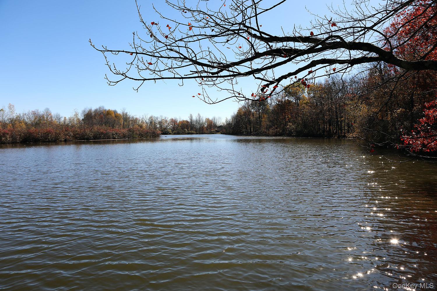 #1 photo, Blackberry Lake Road, Jeffersonville , NY 12748