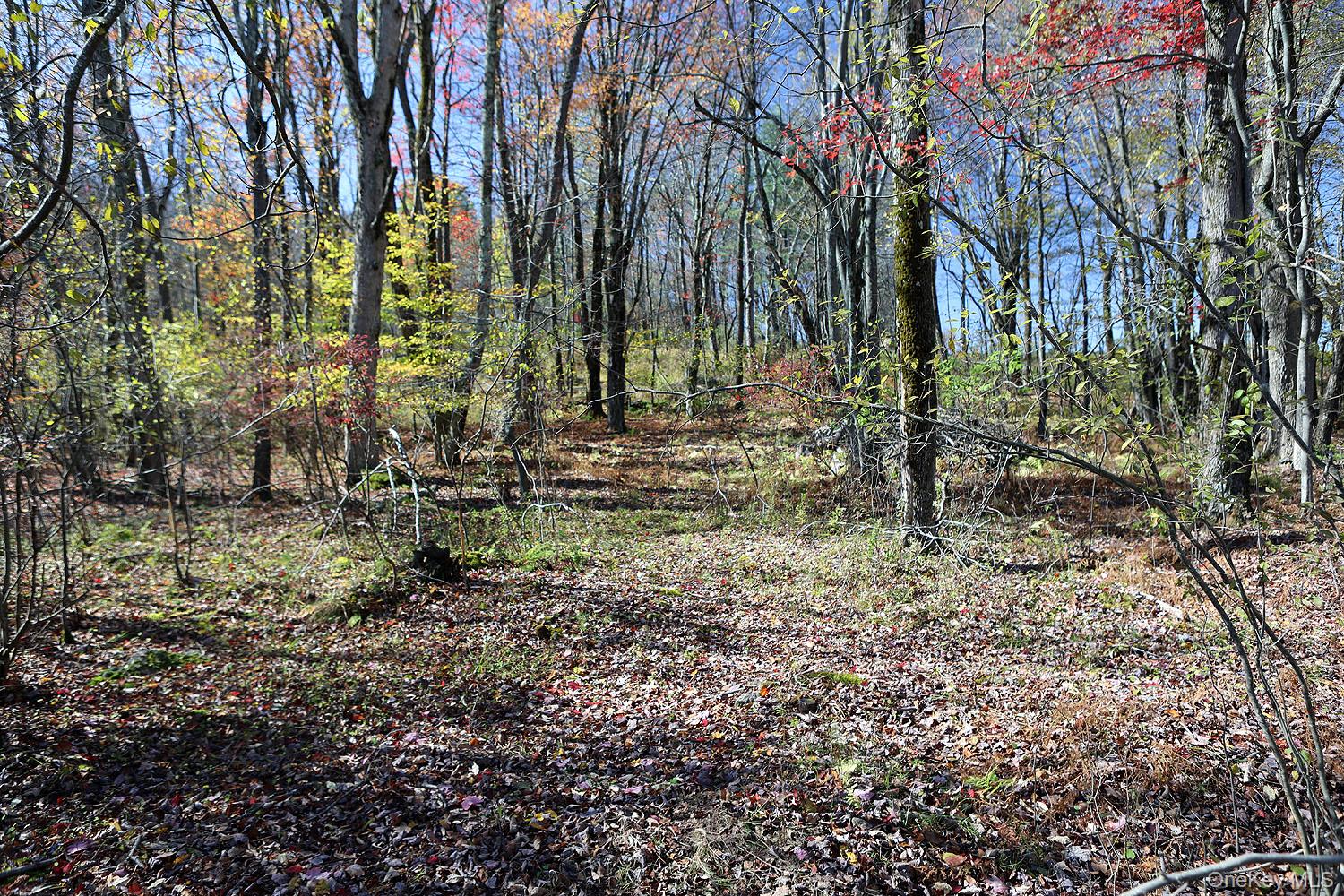 #11 photo, Blackberry Lake Road, Jeffersonville , NY 12748