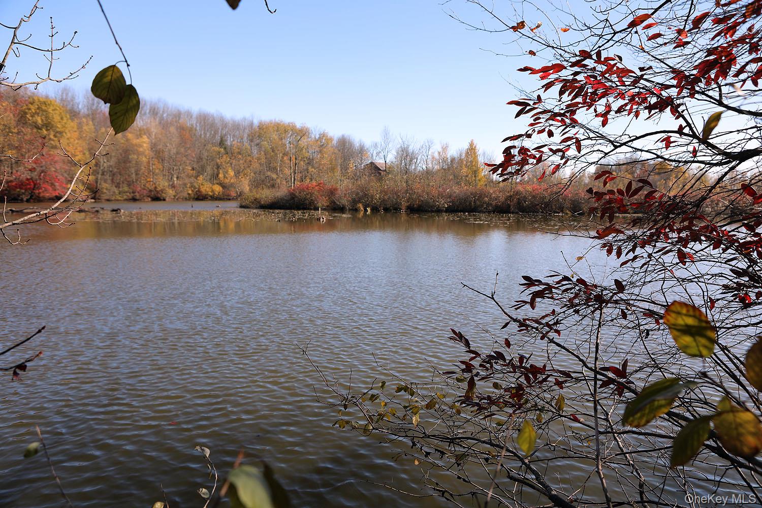 #15 photo, Blackberry Lake Road, Jeffersonville , NY 12748