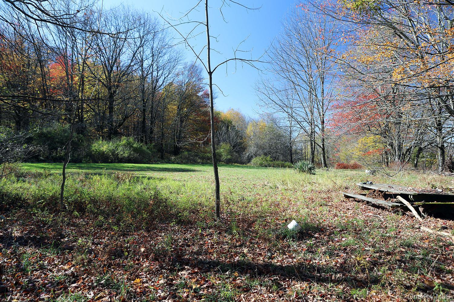 #17 photo, Blackberry Lake Road, Jeffersonville , NY 12748