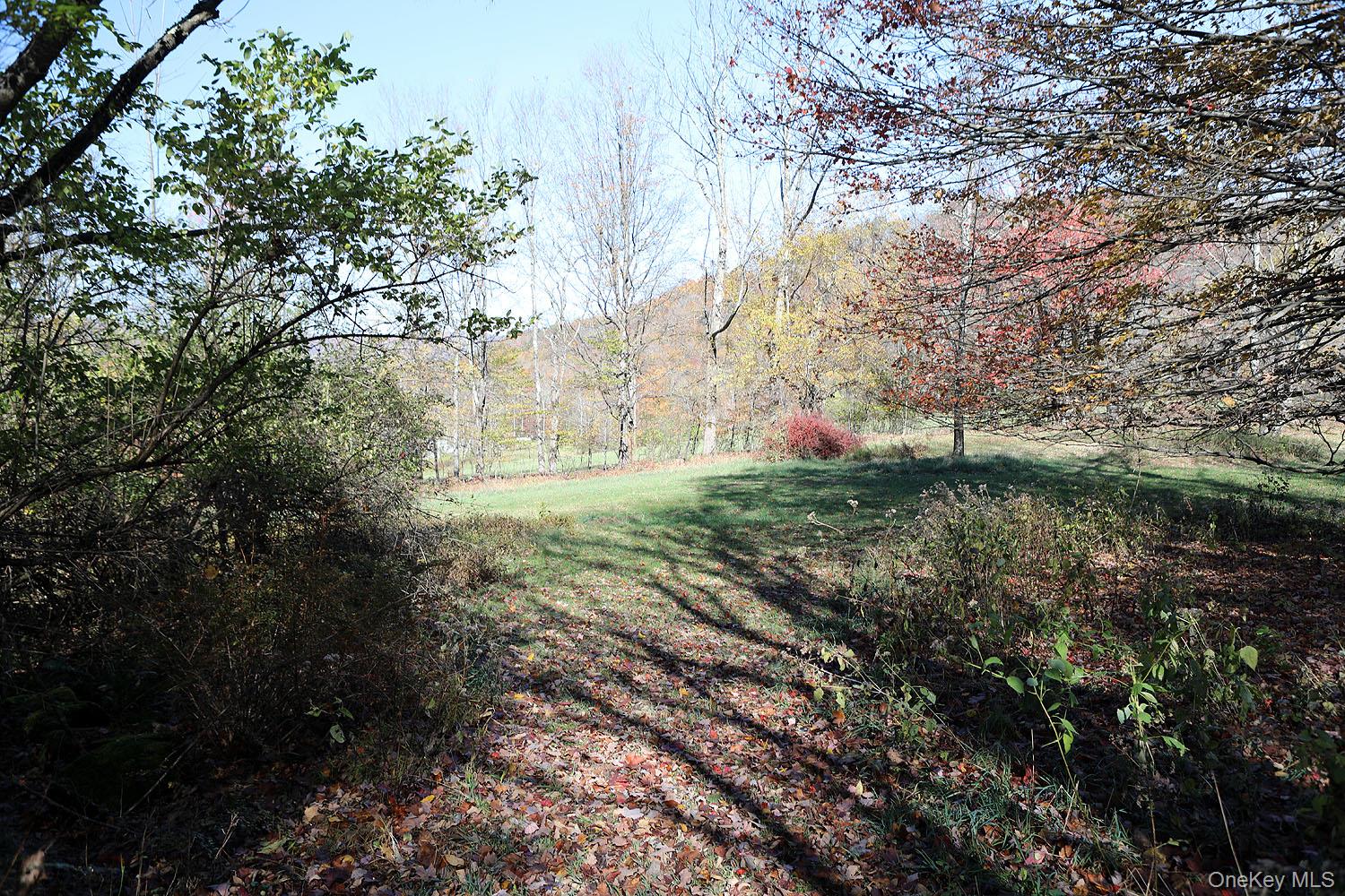 #4 photo, Blackberry Lake Road, Jeffersonville , NY 12748