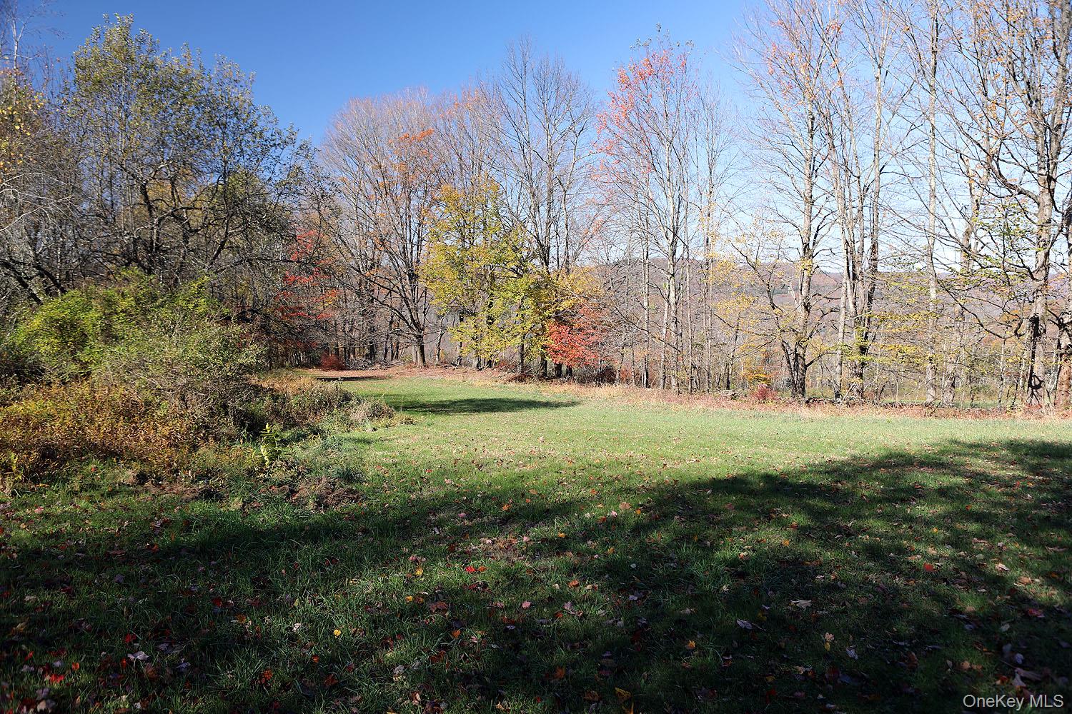 #5 photo, Blackberry Lake Road, Jeffersonville , NY 12748