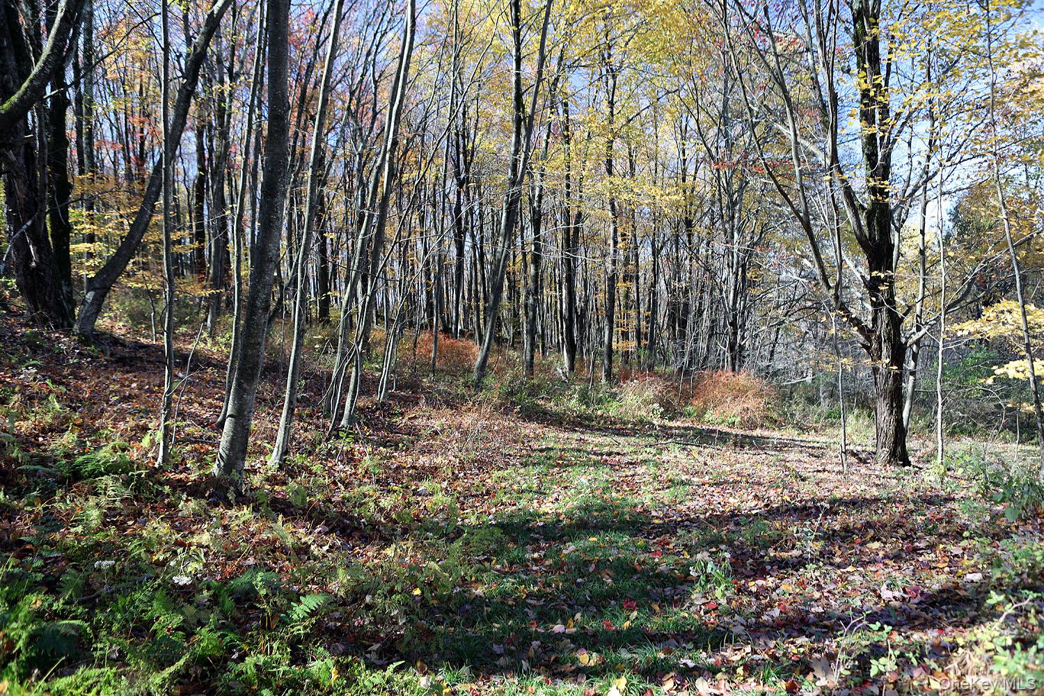 #6 photo, Blackberry Lake Road, Jeffersonville , NY 12748