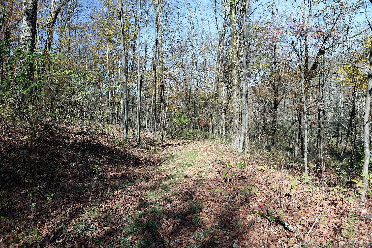 #7 photo, Blackberry Lake Road, Jeffersonville , NY 12748