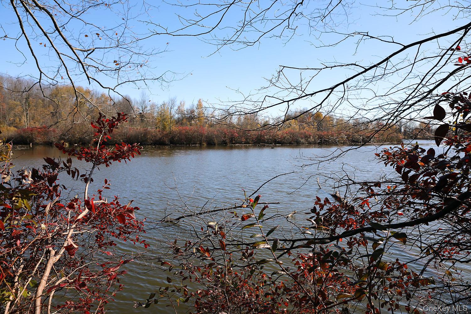 #9 photo, Blackberry Lake Road, Jeffersonville , NY 12748