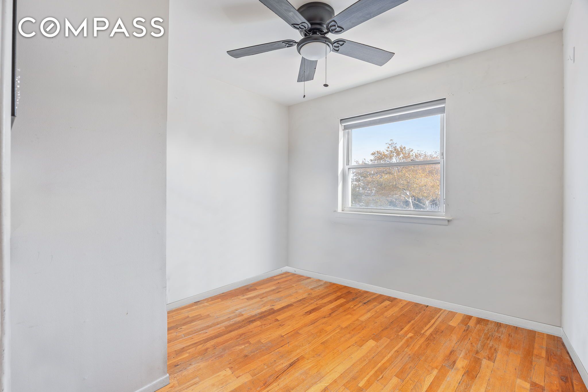 #13 photo, Astoria, Astoria , NY 11105