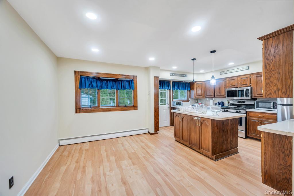 #13 photo, 19 Summit Street, Hicksville , NY 11801