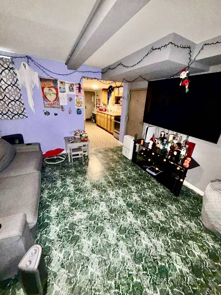 #19 photo, 406 Chestnut St, East New York , NY 11208