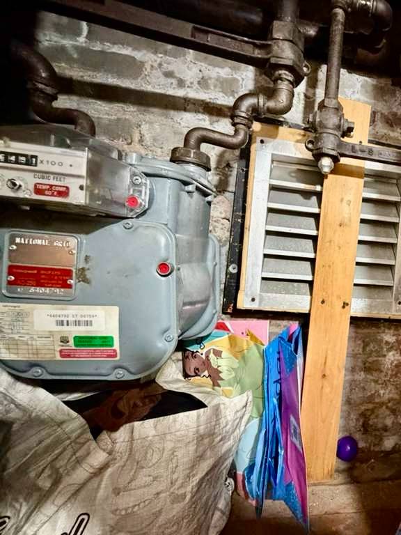 #25 photo, 406 Chestnut St, East New York , NY 11208