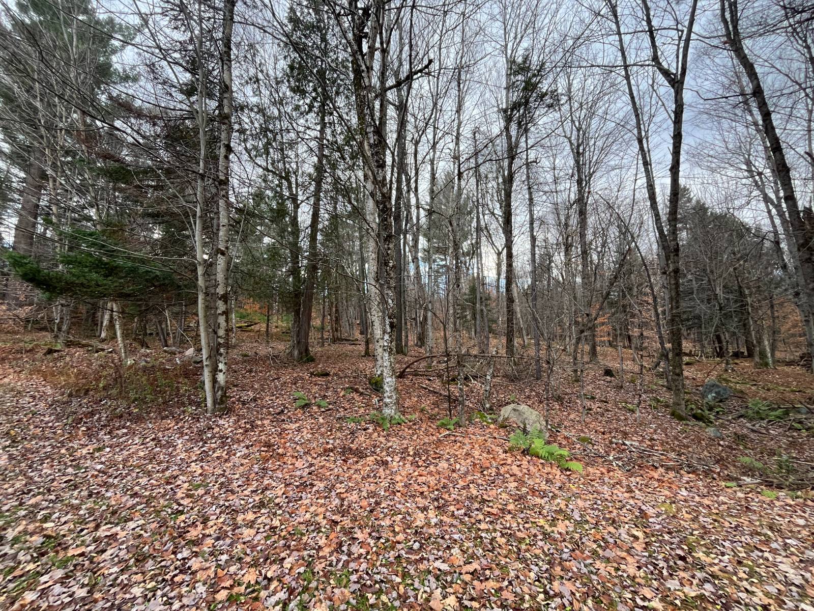 #38 photo, 9 Boyd Pond 387 West, Russell , NY 13684