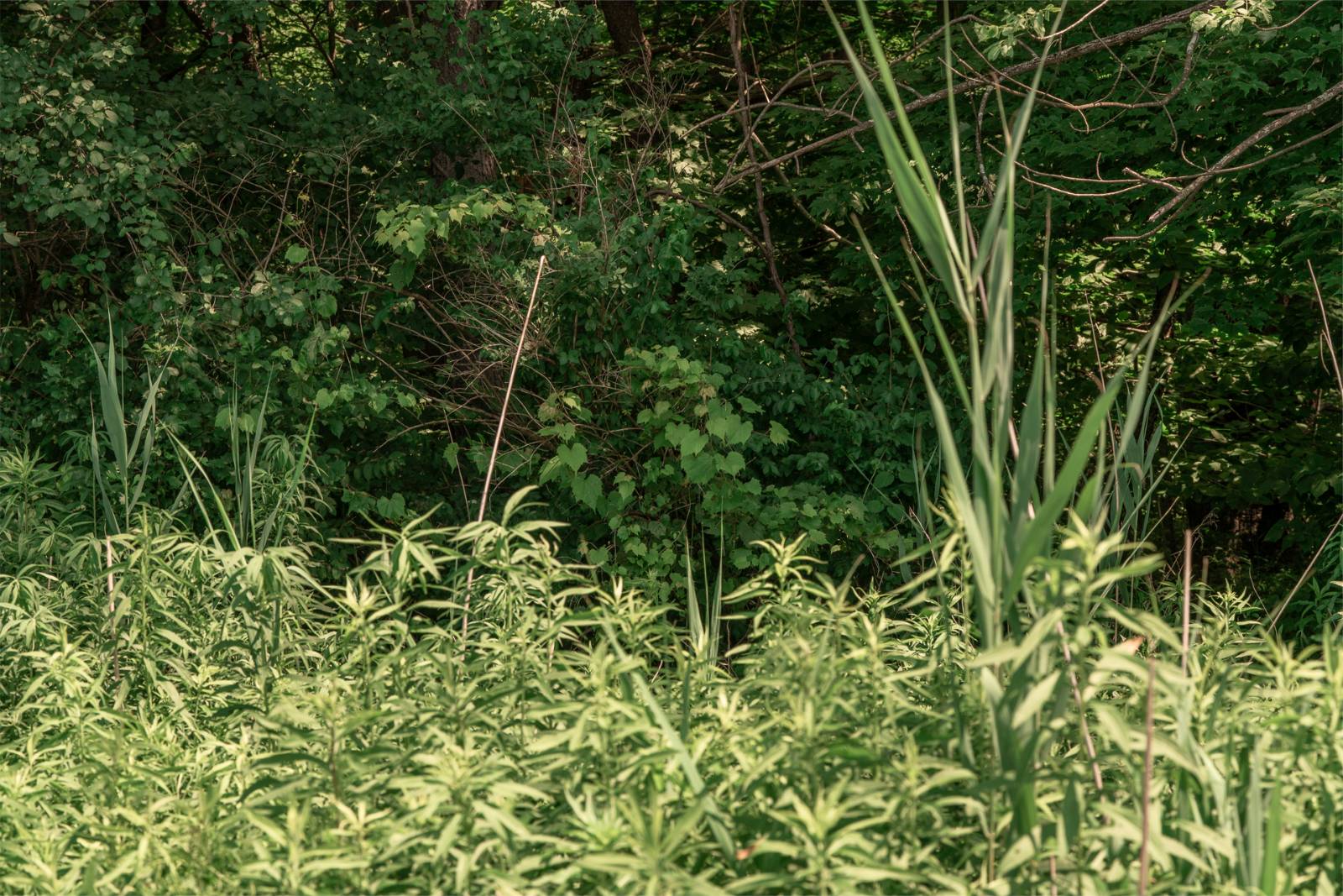 #5 photo, L9.111 US Route 20, New Lebanon , NY 12125