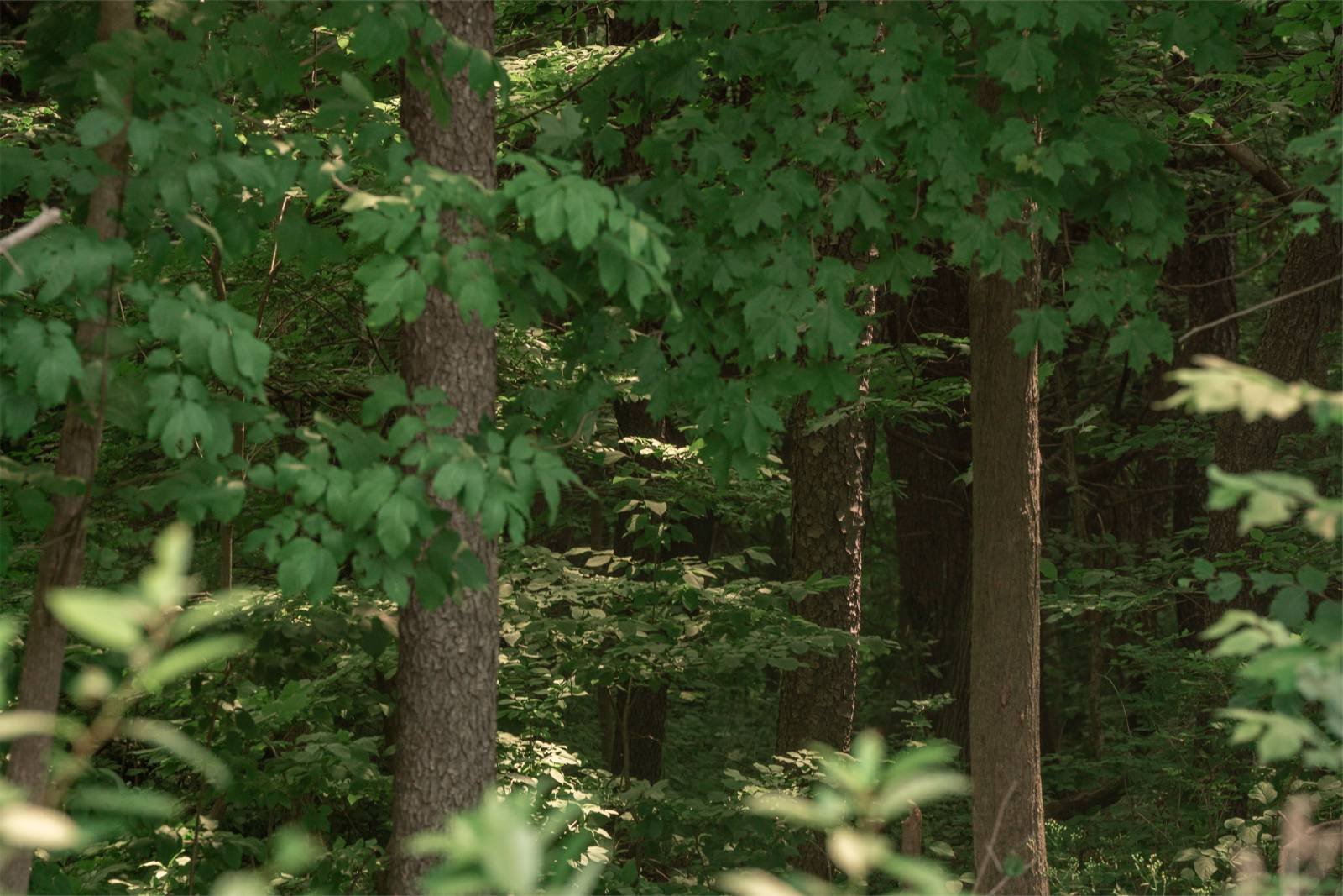 #6 photo, L9.111 US Route 20, New Lebanon , NY 12125