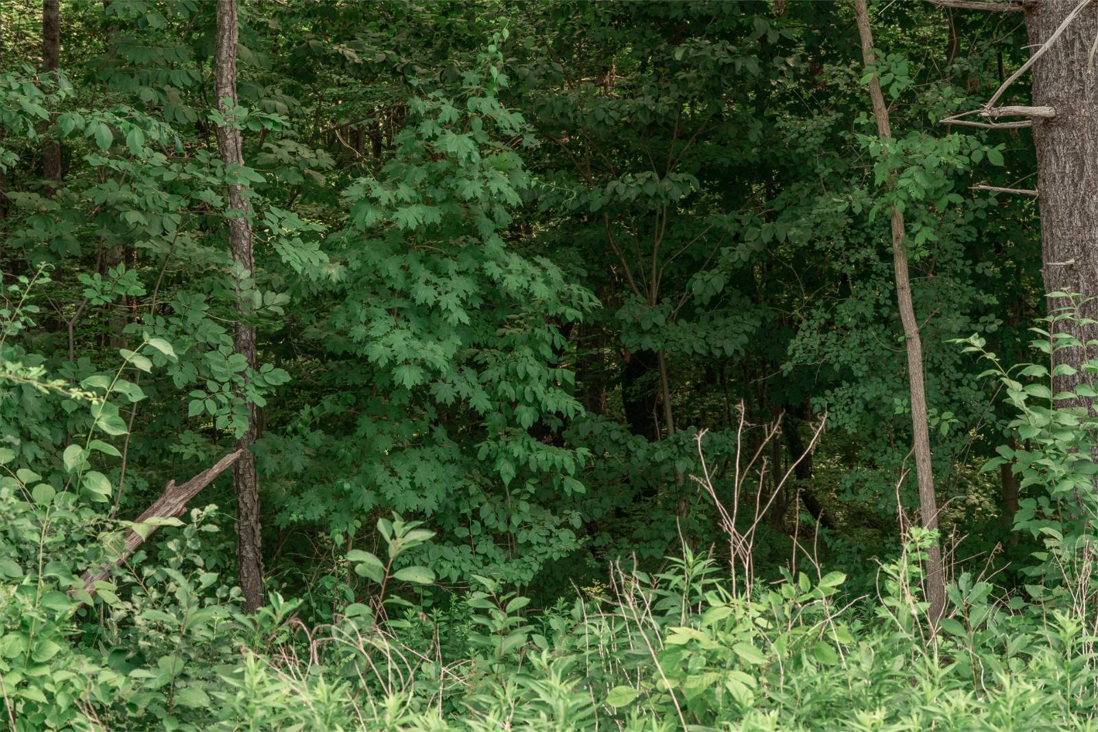 #7 photo, L9.111 US Route 20, New Lebanon , NY 12125