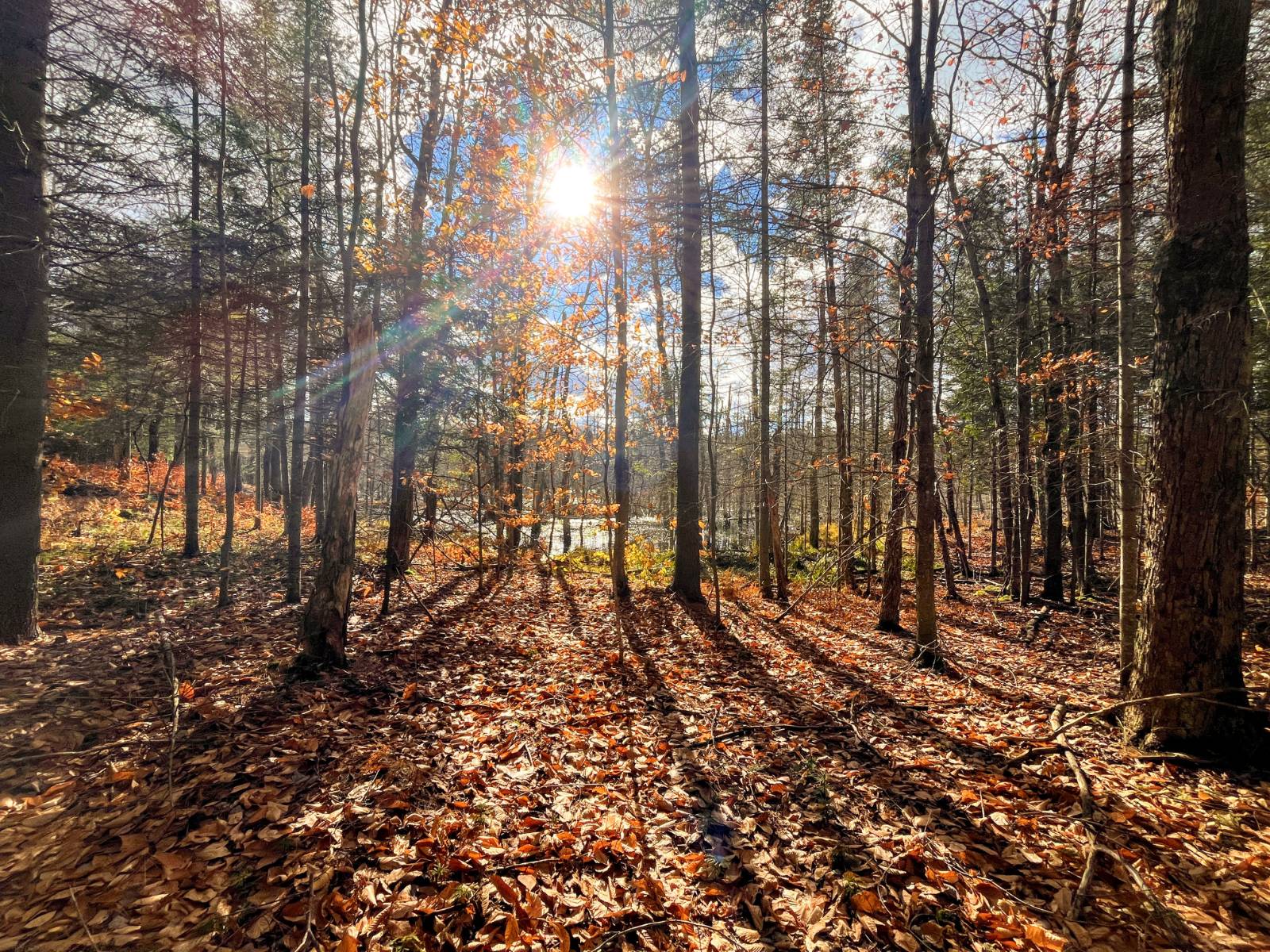 #1 photo, 00 Boyd Pond Rd, #Lot 8 & 9, Russell , NY 13684