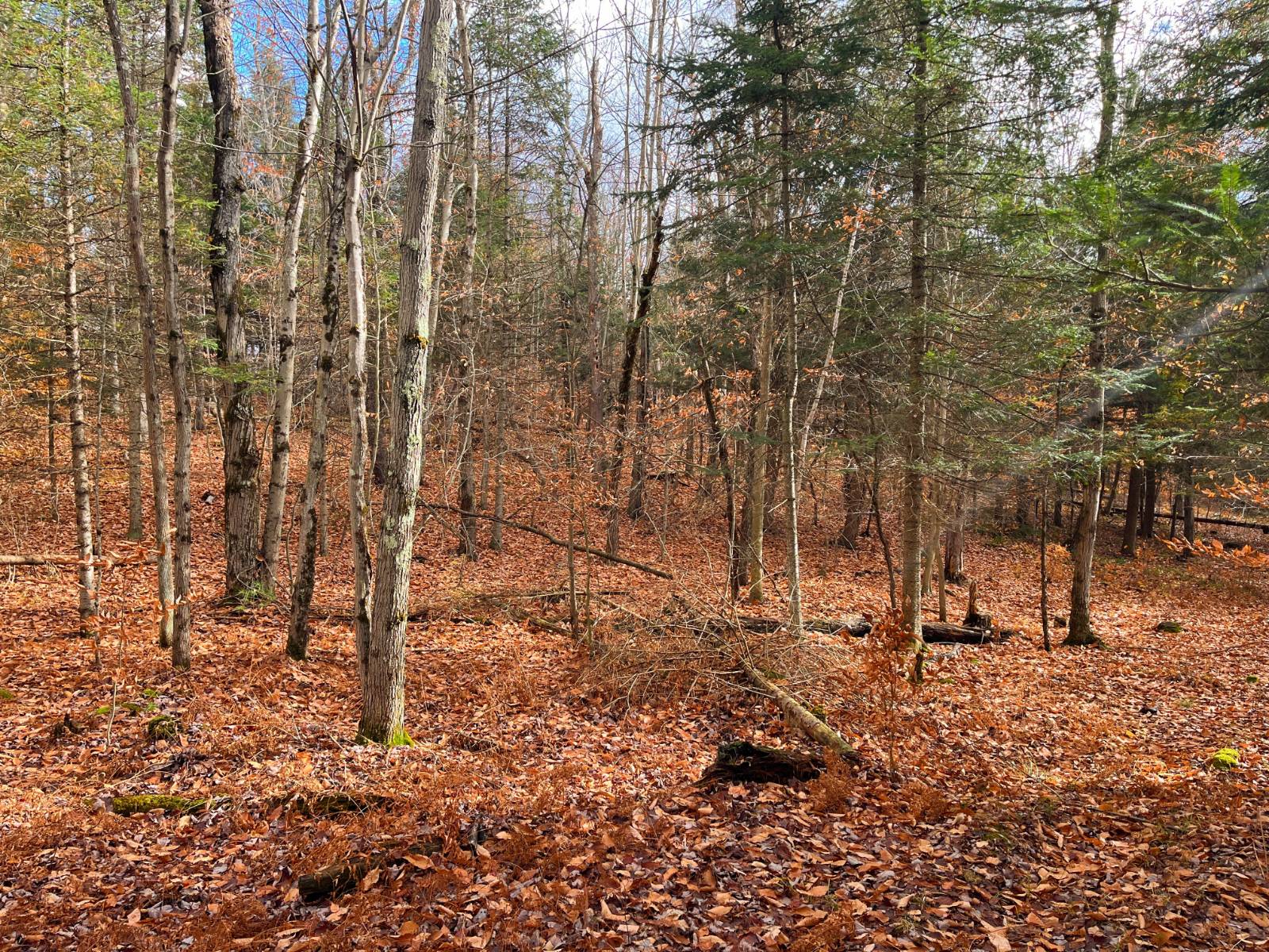 #10 photo, 00 Boyd Pond Rd, #Lot 8 & 9, Russell , NY 13684