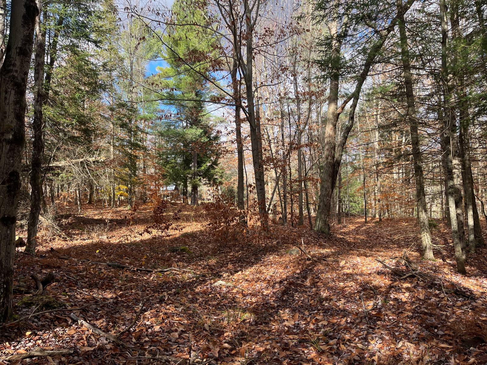 #11 photo, 00 Boyd Pond Rd, #Lot 8 & 9, Russell , NY 13684