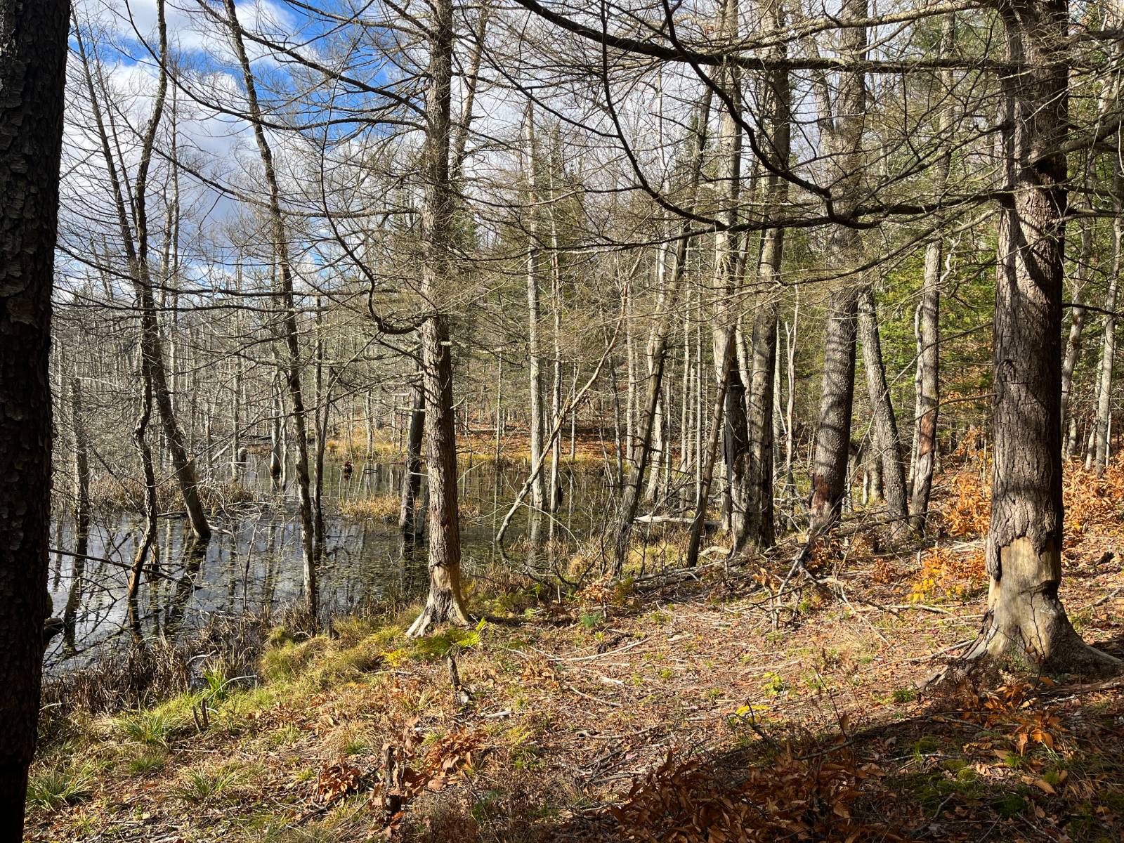 #12 photo, 00 Boyd Pond Rd, #Lot 8 & 9, Russell , NY 13684