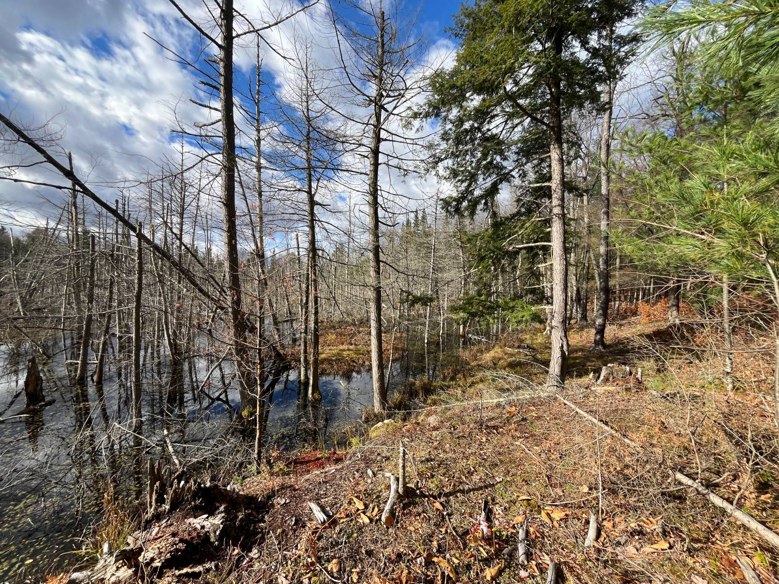 #13 photo, 00 Boyd Pond Rd, #Lot 8 & 9, Russell , NY 13684