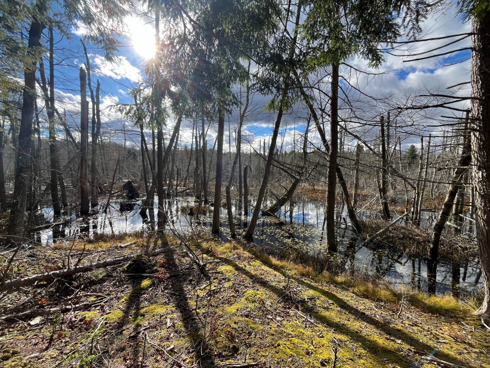 #14 photo, 00 Boyd Pond Rd, #Lot 8 & 9, Russell , NY 13684