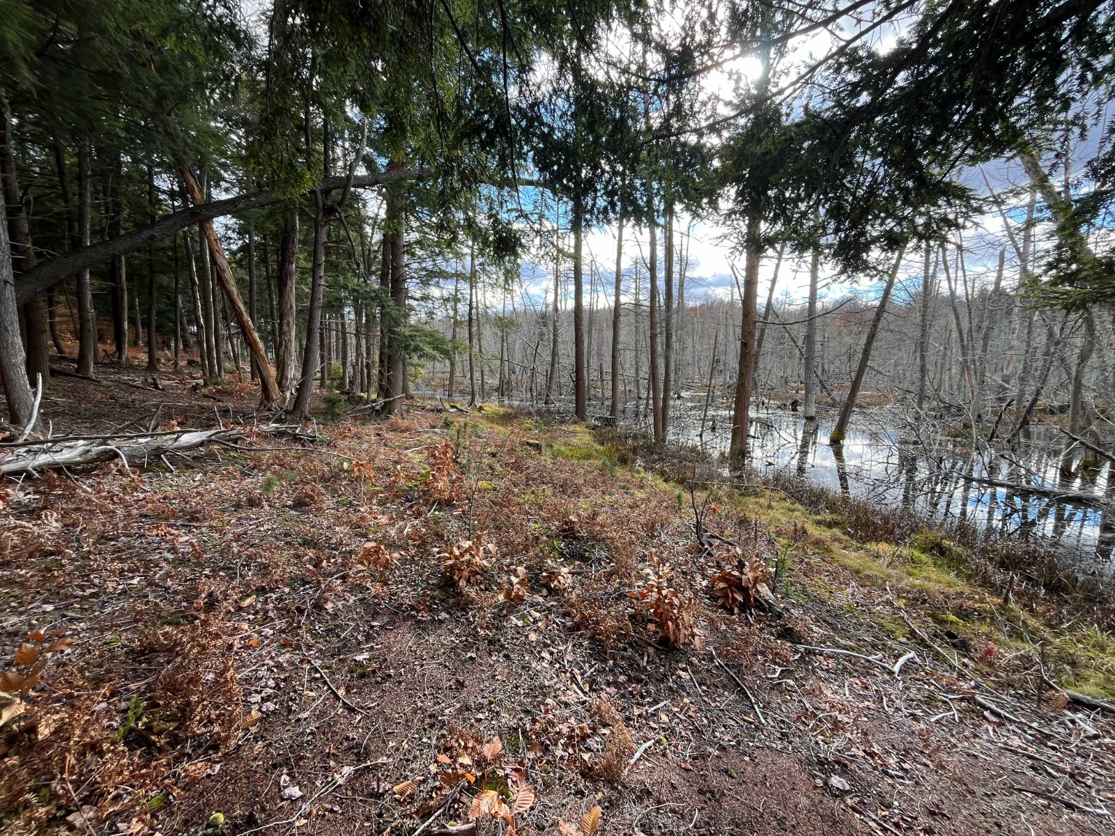 #15 photo, 00 Boyd Pond Rd, #Lot 8 & 9, Russell , NY 13684