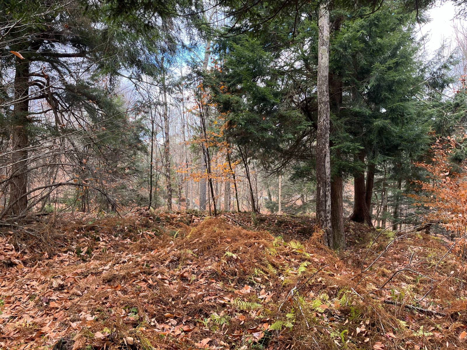 #18 photo, 00 Boyd Pond Rd, #Lot 8 & 9, Russell , NY 13684