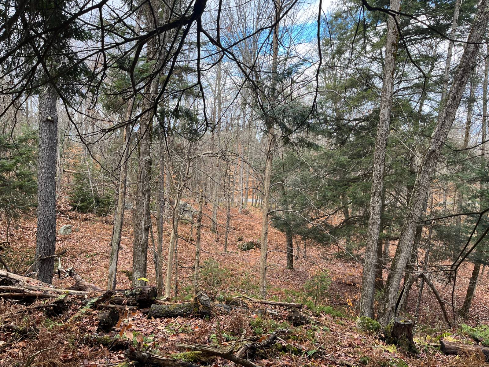 #19 photo, 00 Boyd Pond Rd, #Lot 8 & 9, Russell , NY 13684