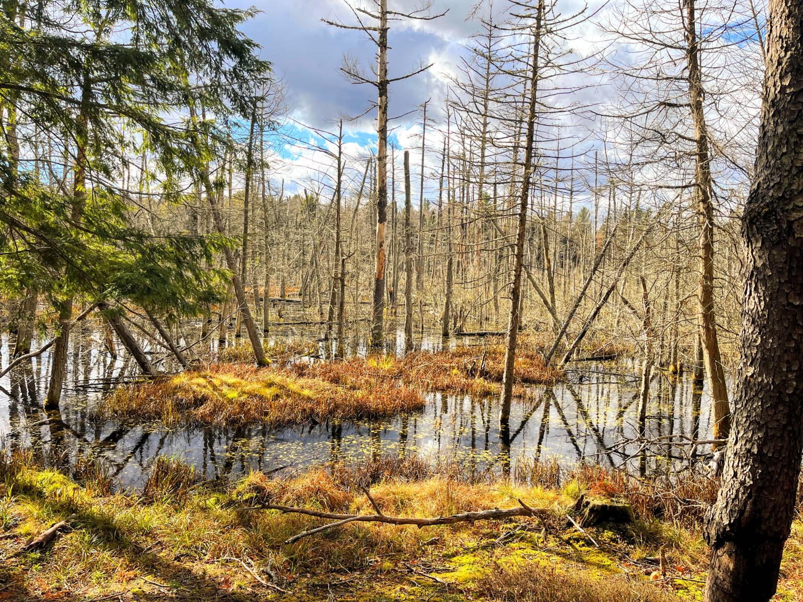 #2 photo, 00 Boyd Pond Rd, #Lot 8 & 9, Russell , NY 13684