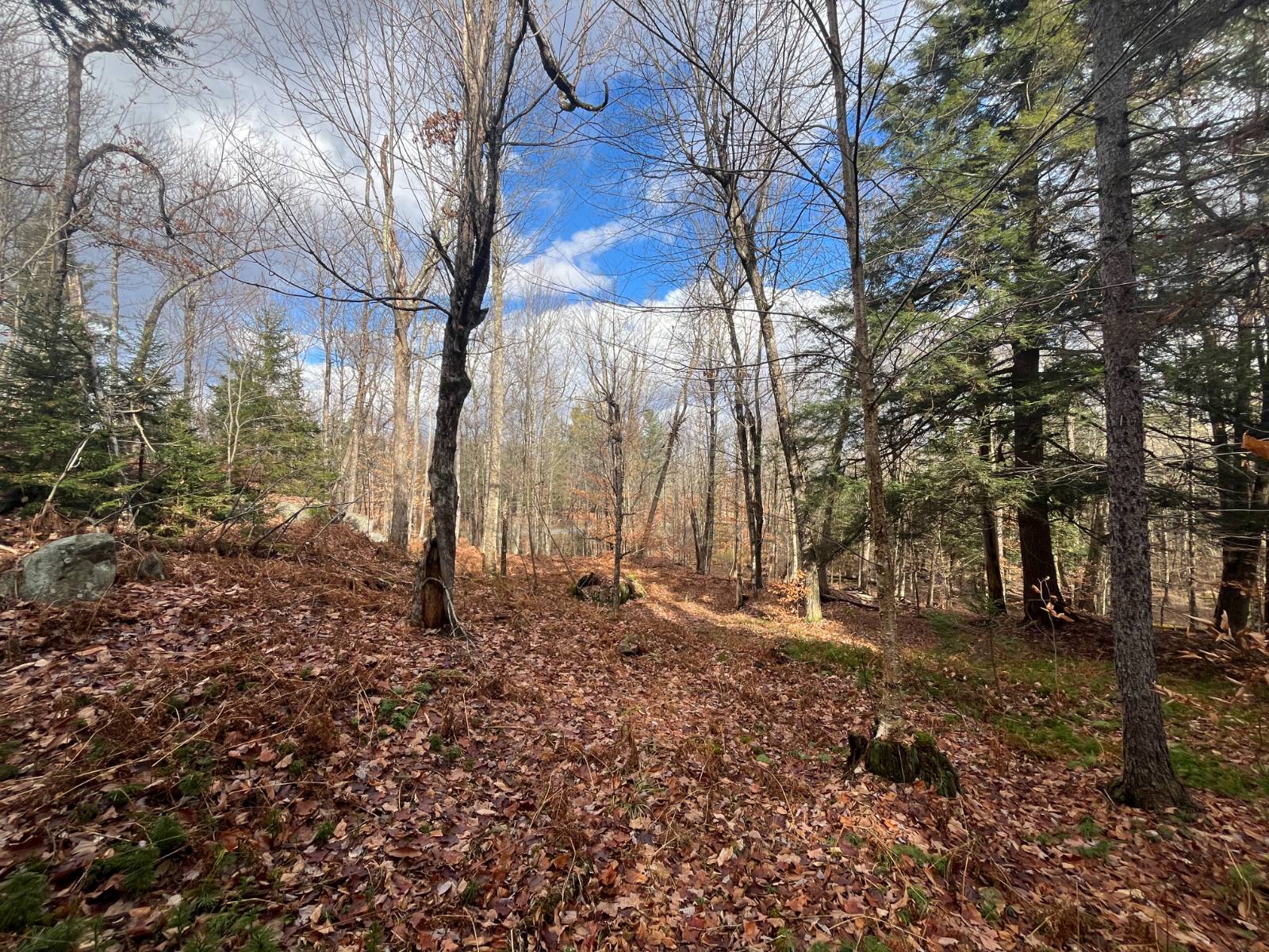 #20 photo, 00 Boyd Pond Rd, #Lot 8 & 9, Russell , NY 13684
