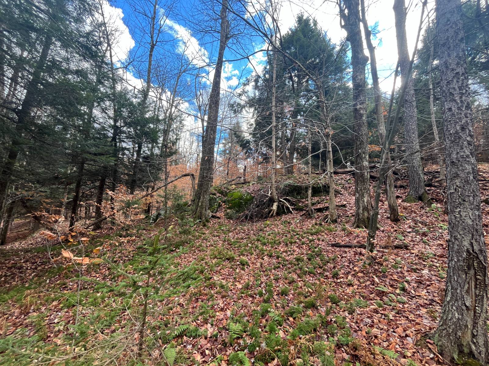 #21 photo, 00 Boyd Pond Rd, #Lot 8 & 9, Russell , NY 13684