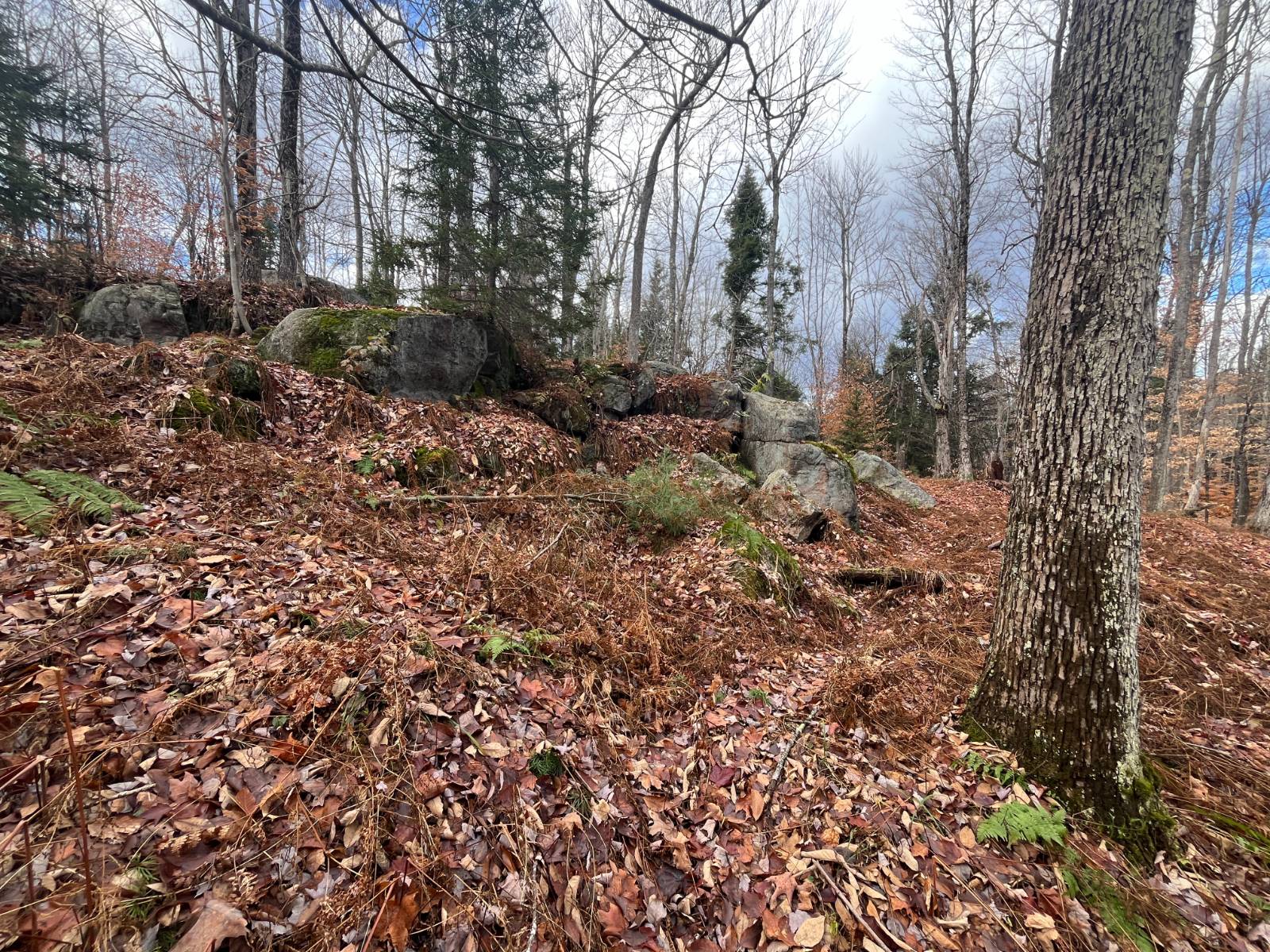 #22 photo, 00 Boyd Pond Rd, #Lot 8 & 9, Russell , NY 13684