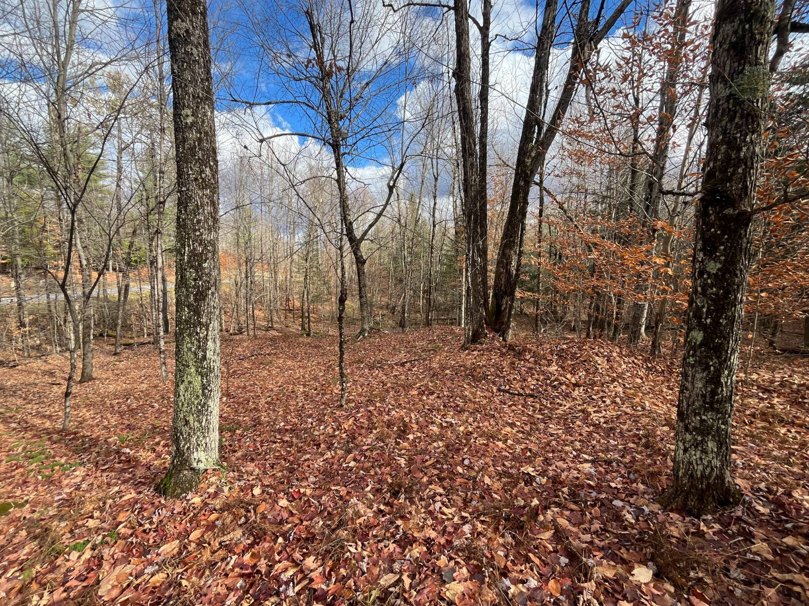 #23 photo, 00 Boyd Pond Rd, #Lot 8 & 9, Russell , NY 13684