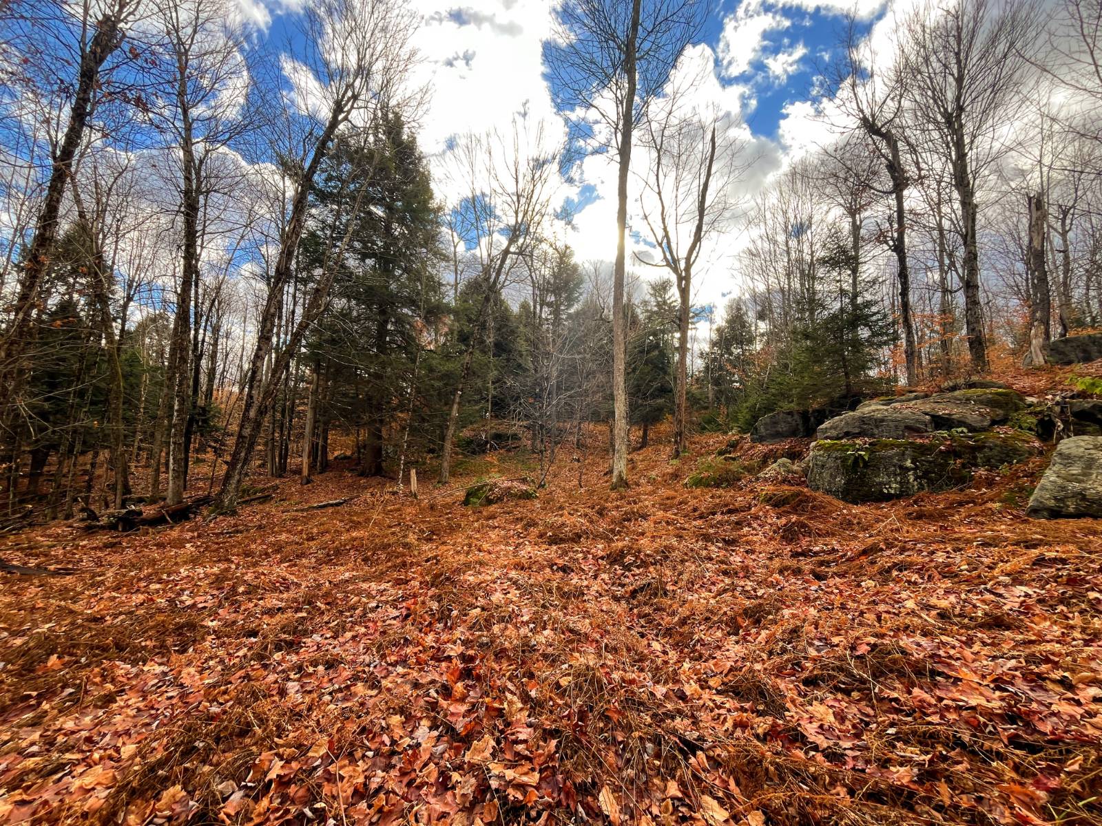 #24 photo, 00 Boyd Pond Rd, #Lot 8 & 9, Russell , NY 13684