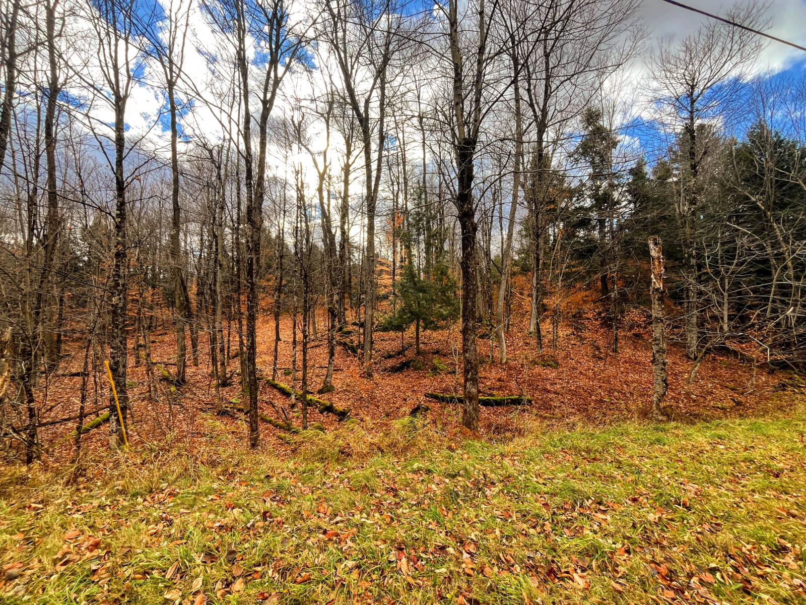 #25 photo, 00 Boyd Pond Rd, #Lot 8 & 9, Russell , NY 13684