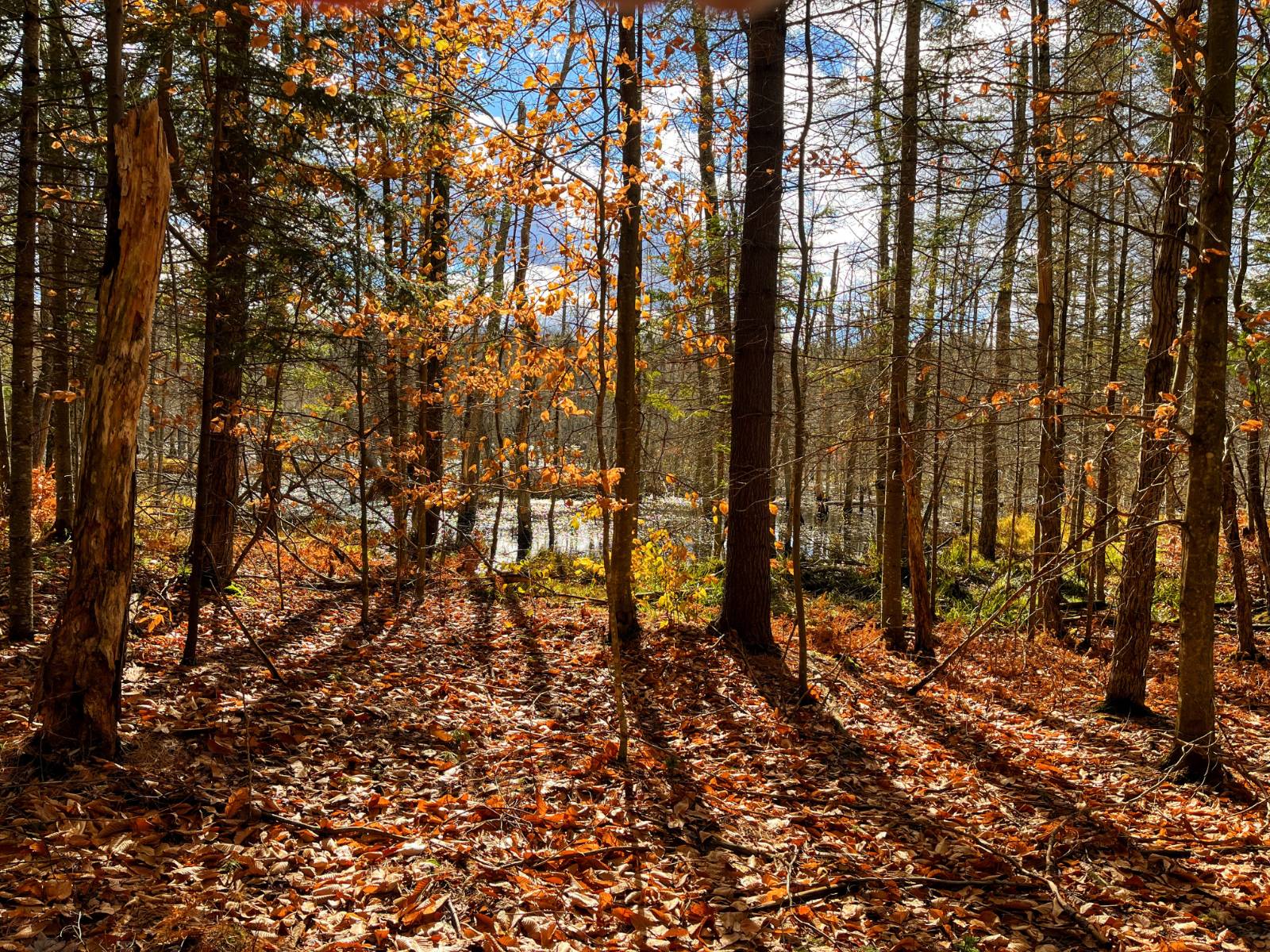 #3 photo, 00 Boyd Pond Rd, #Lot 8 & 9, Russell , NY 13684