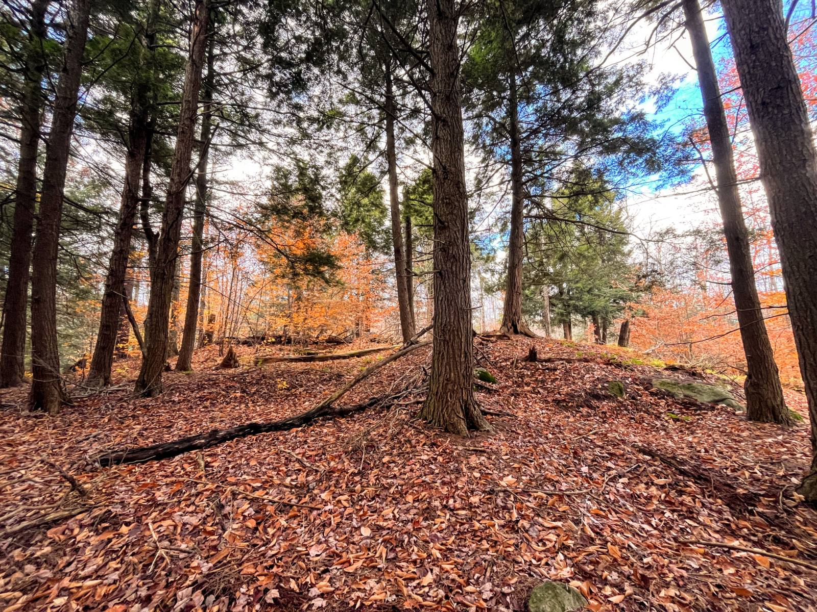 #6 photo, 00 Boyd Pond Rd, #Lot 8 & 9, Russell , NY 13684