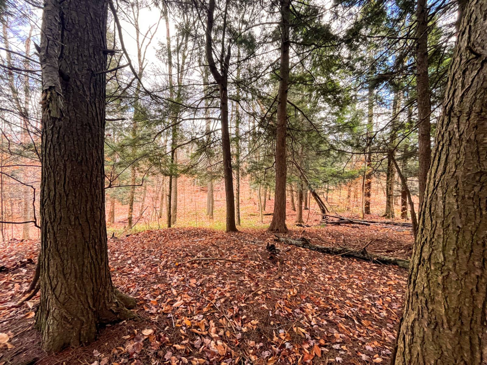 #7 photo, 00 Boyd Pond Rd, #Lot 8 & 9, Russell , NY 13684