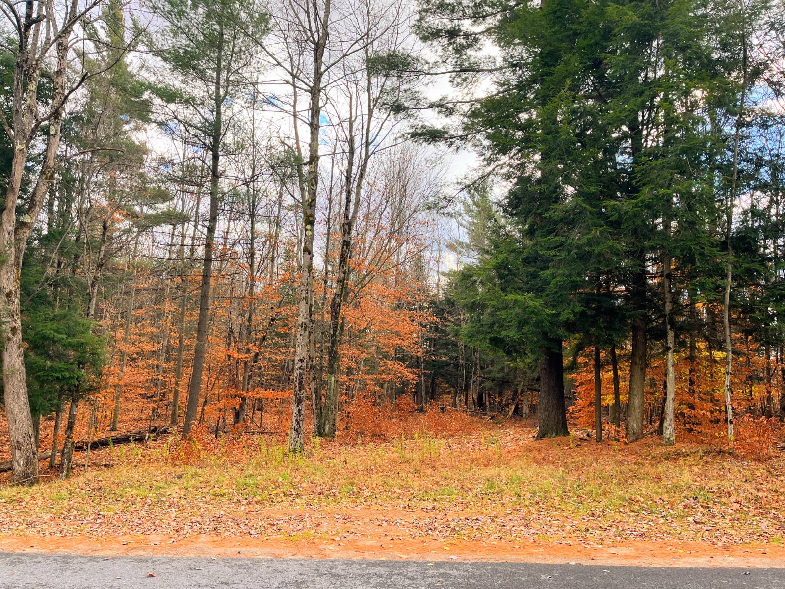 #8 photo, 00 Boyd Pond Rd, #Lot 8 & 9, Russell , NY 13684