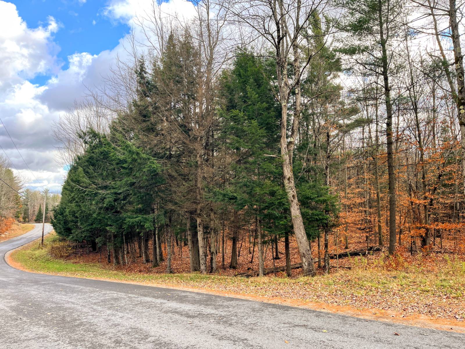 #9 photo, 00 Boyd Pond Rd, #Lot 8 & 9, Russell , NY 13684