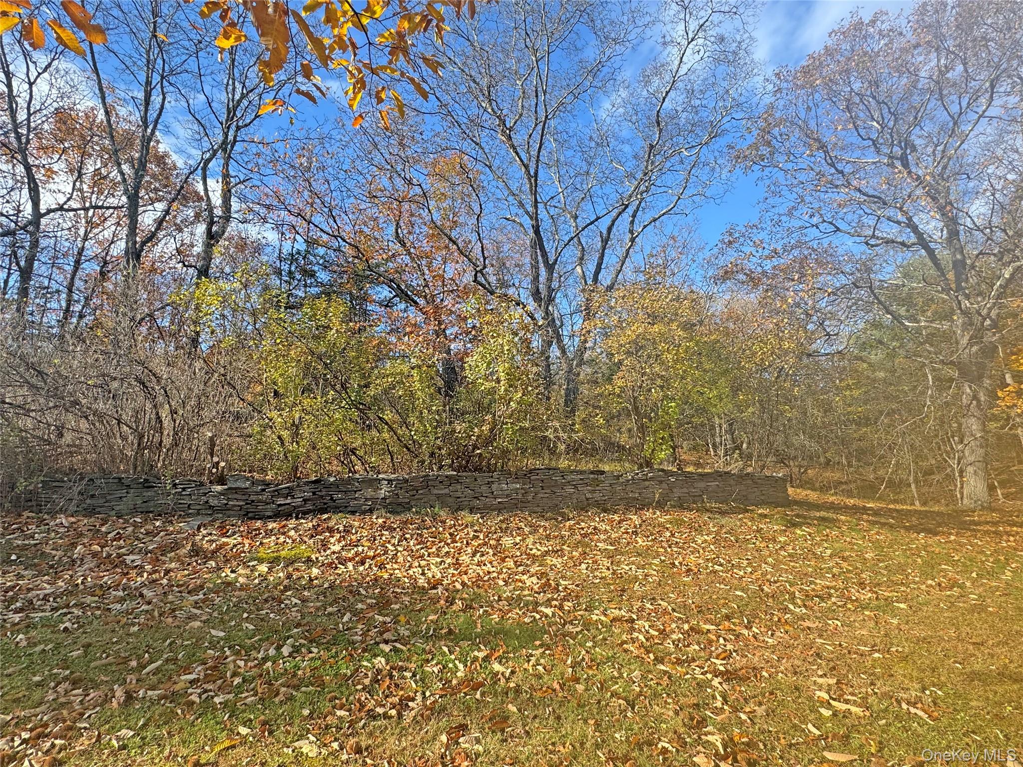 #19 photo, 55 Monti Drive, Cairo , NY 12413