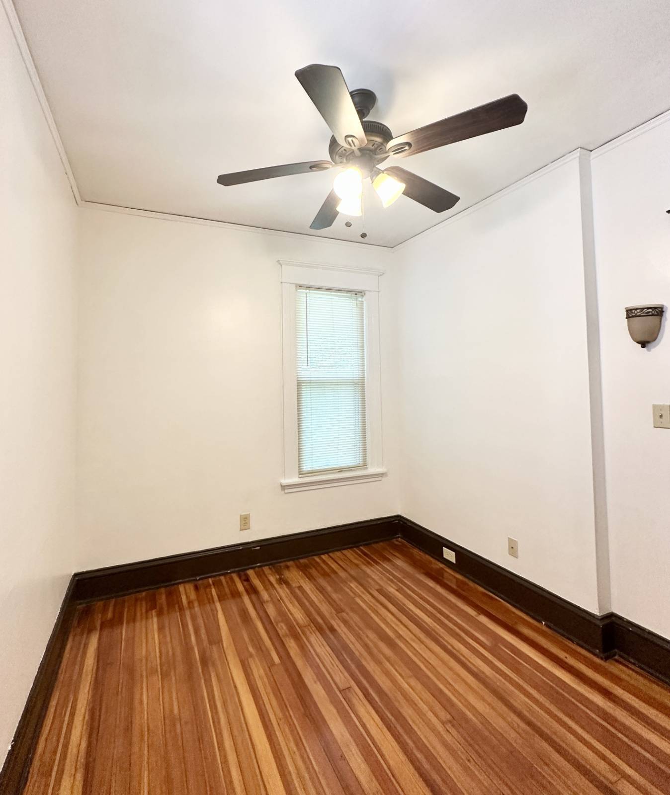 #15 photo, 423 Hamilton St, #Floor 1, Albany , NY 12203