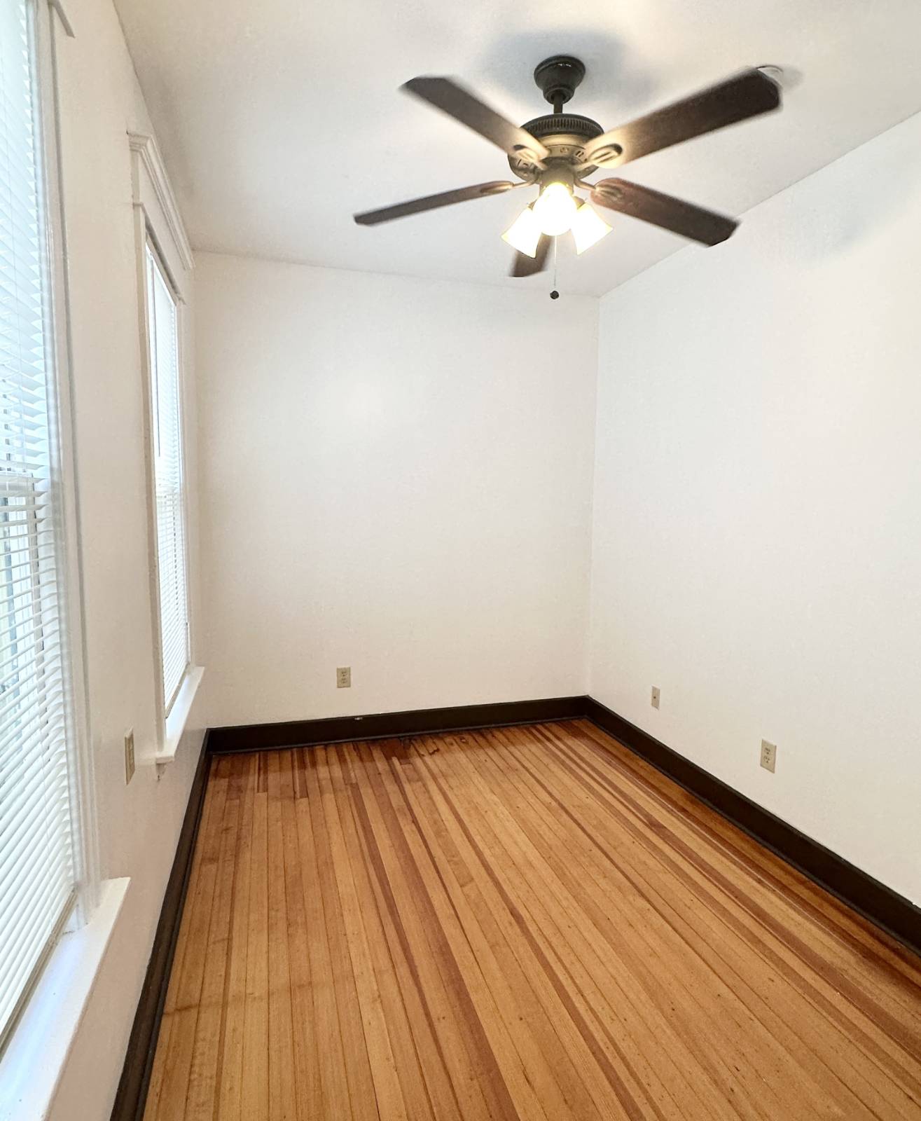 #17 photo, 423 Hamilton St, #Floor 1, Albany , NY 12203